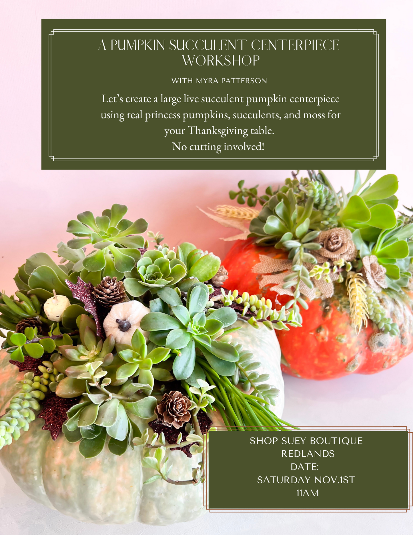 Thanksgiving Pumpkin Succulent Class | Nov. 1 @11am