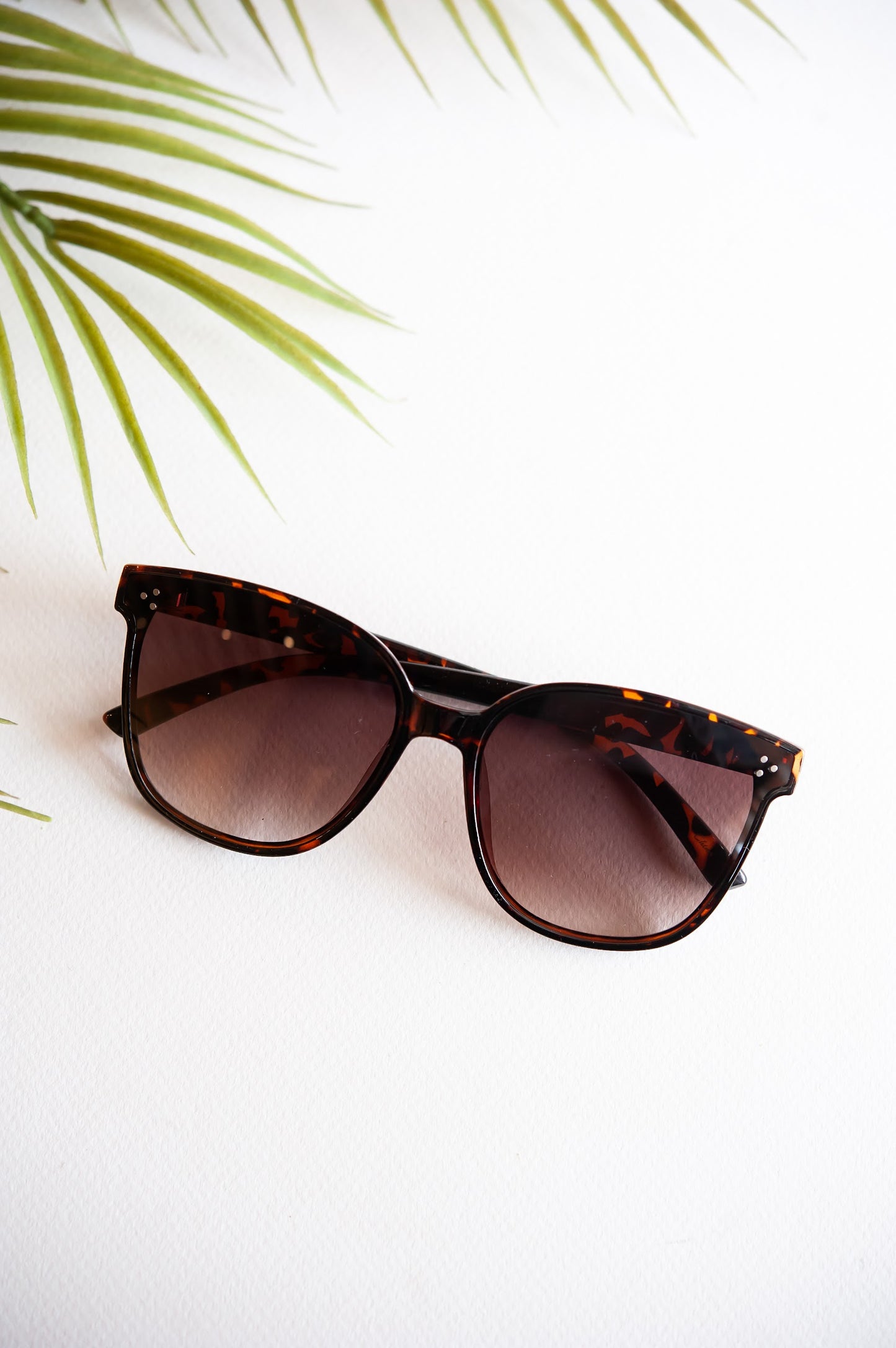 Quinn Tortoise Classic Sunglasses | Modern Cat Eye Sunnies