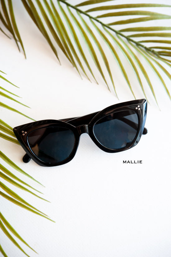 Load image into Gallery viewer, Black Sunglasses Collection
